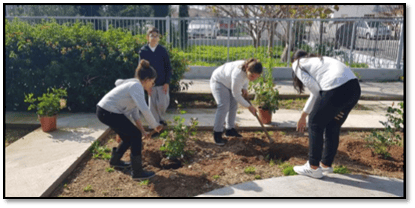 Tiganokinisi exwraismos kai katharismos tis sxolikis avlis2