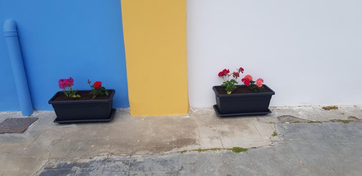 Tiganokinisi veltiwsi tis poiotitas ston sxoliko xwro1